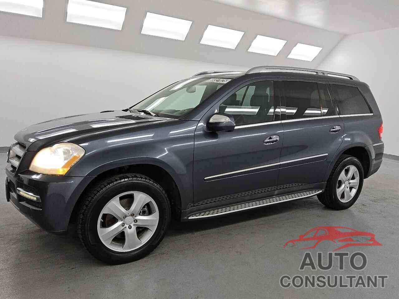 MERCEDES-BENZ GL-CLASS 2010 - 4JGBF7BE4AA593619