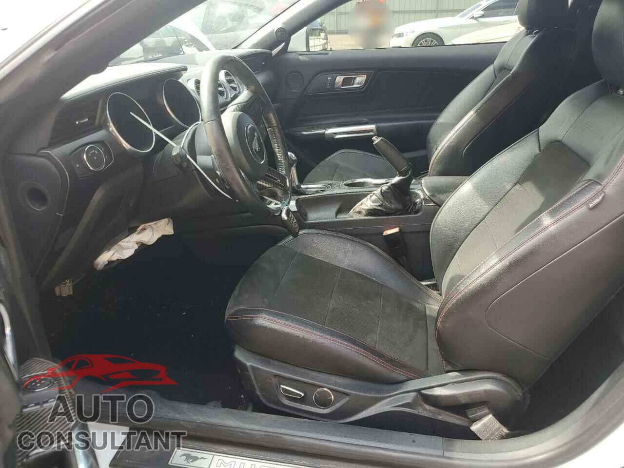 FORD MUSTANG 2019 - 1FA6P8CF2K5141801