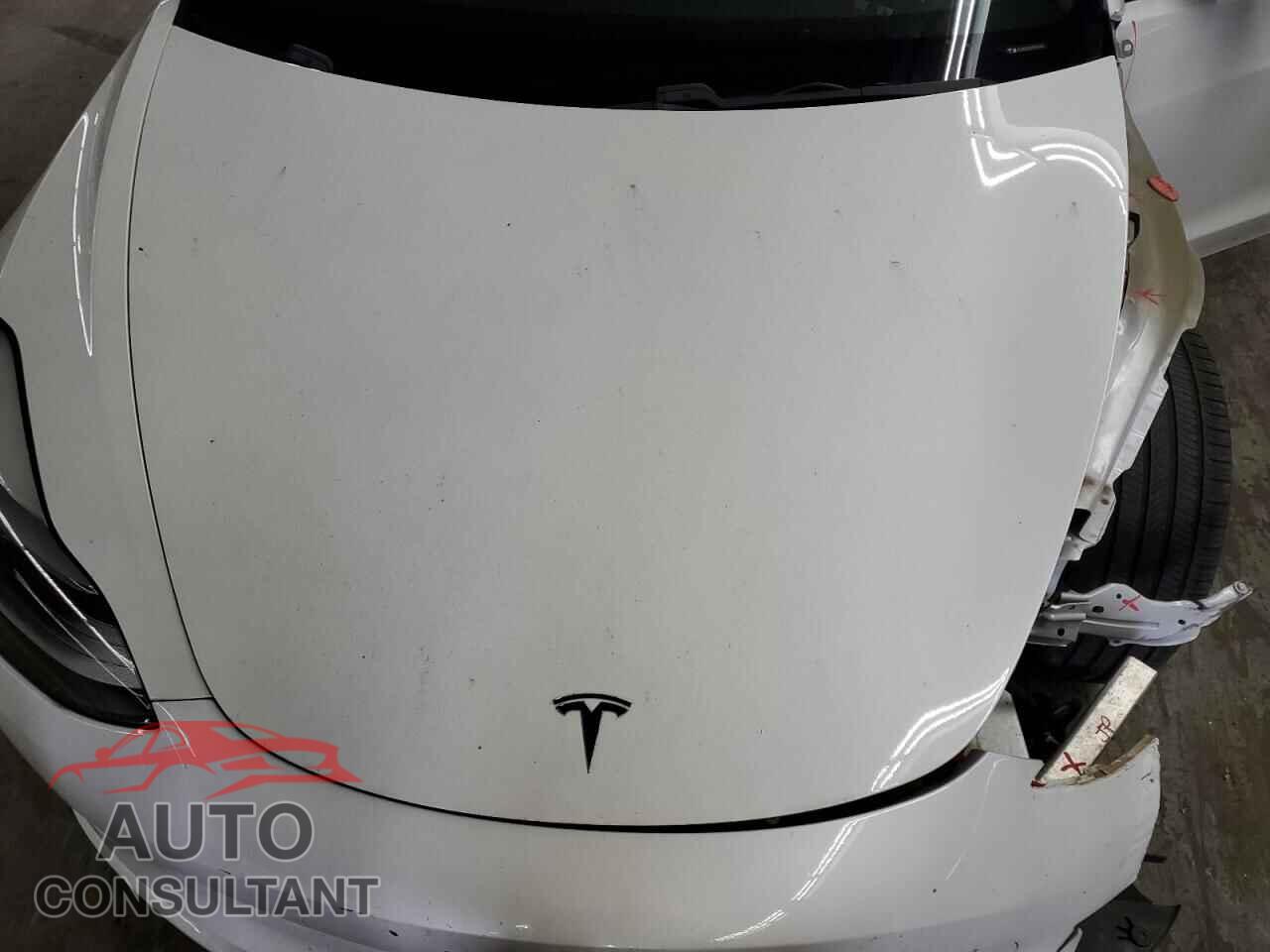 TESLA MODEL 3 2021 - 5YJ3E1EA2MF919785