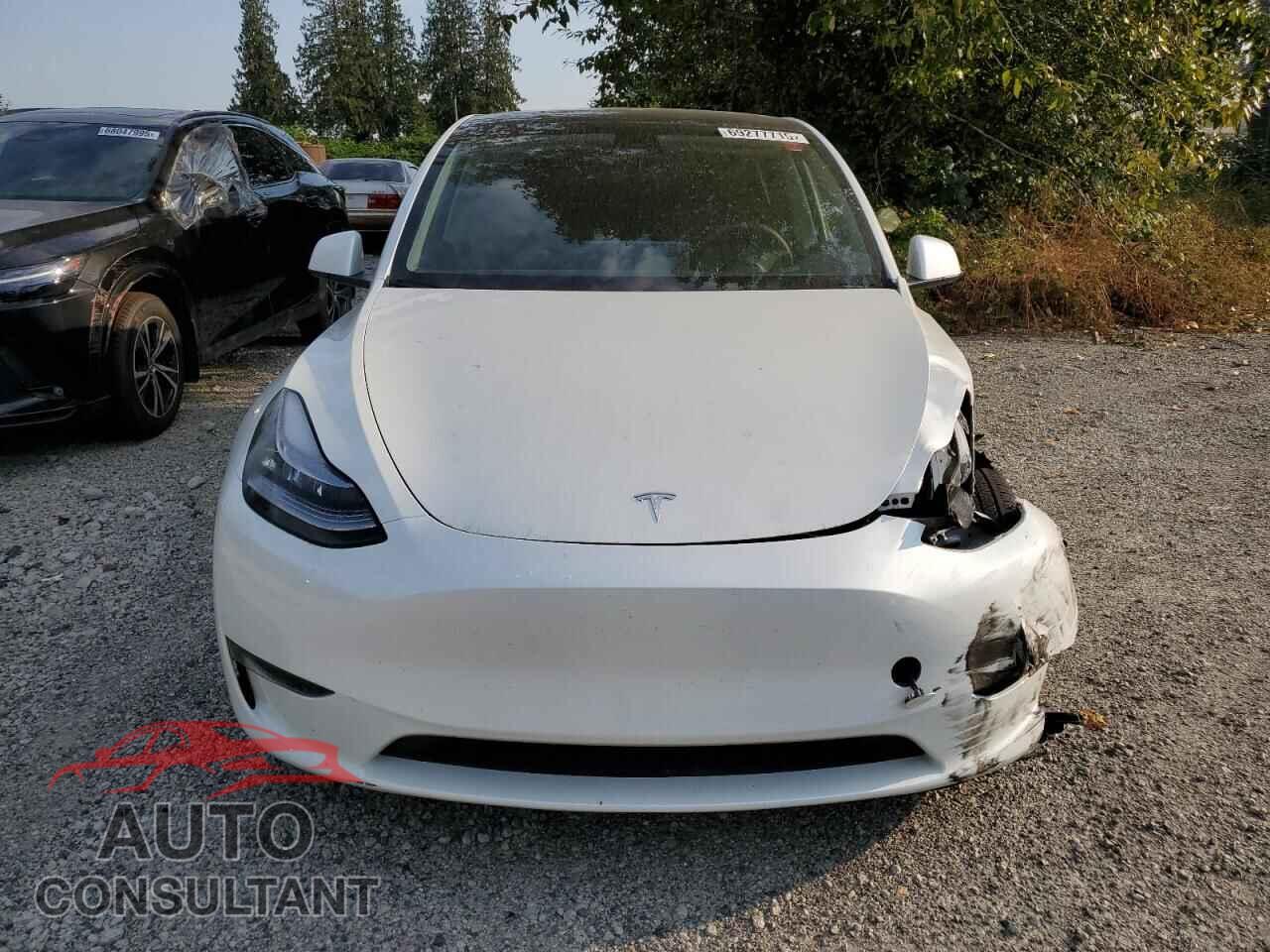 TESLA MODEL Y 2023 - 7SAYGDEE2PF601712