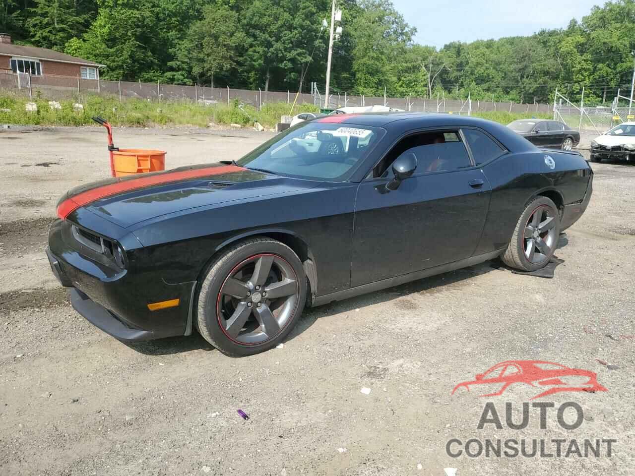 DODGE CHALLENGER 2013 - 2C3CDYAGXDH554051