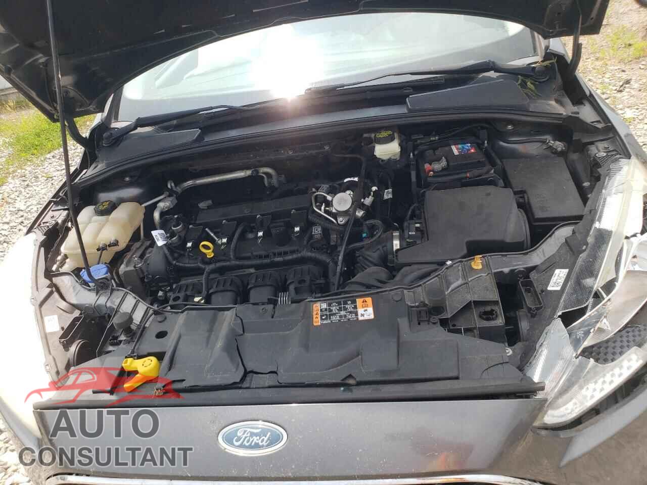 FORD FOCUS 2017 - 1FADP3F24HL304830