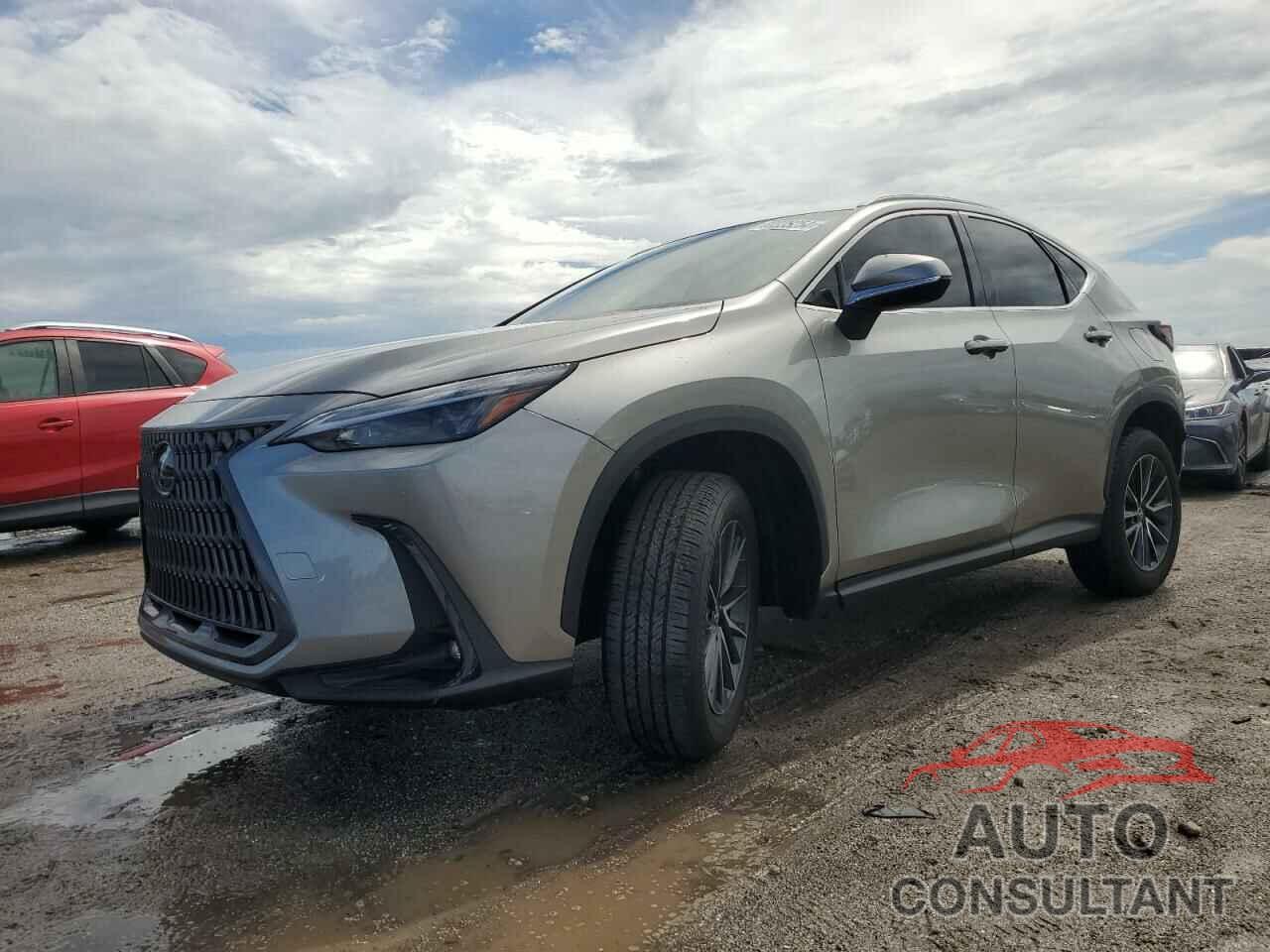 LEXUS NX 250 BAS 2024 - 2T2ADCAZ8RC009048