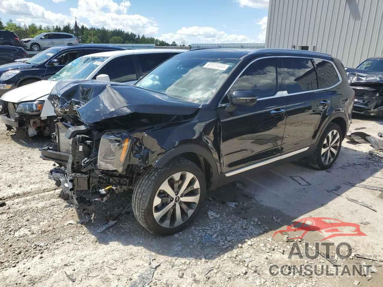 KIA TELLURIDE 2022 - 5XYP6DHCXNG257249