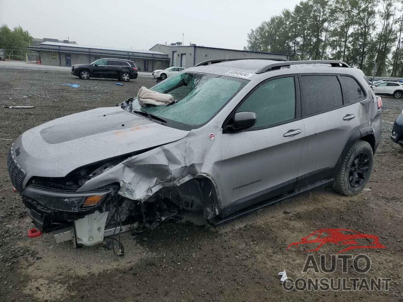 JEEP CHEROKEE 2019 - 1C4PJMBX1KD113321