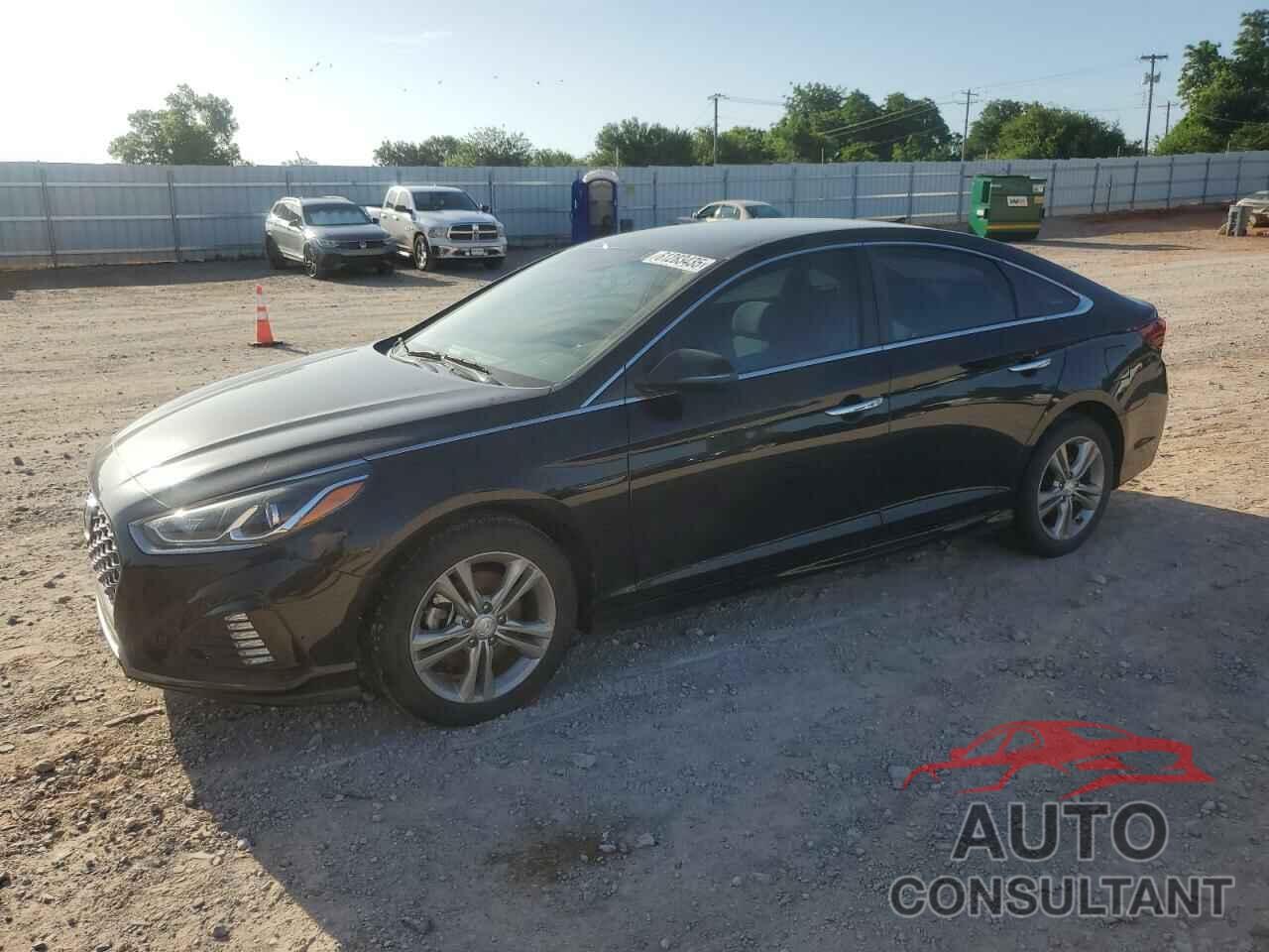 HYUNDAI SONATA 2019 - 5NPE34AF9KH816556