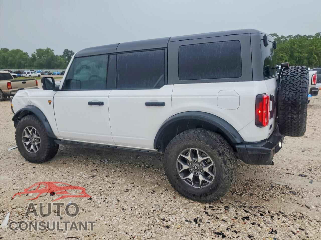 FORD BRONCO 2024 - 1FMEE9BP9RLA60016
