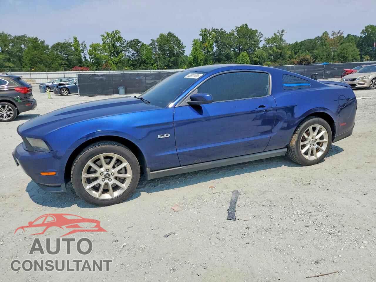 FORD MUSTANG 2011 - 1ZVBP8CF8B5119680