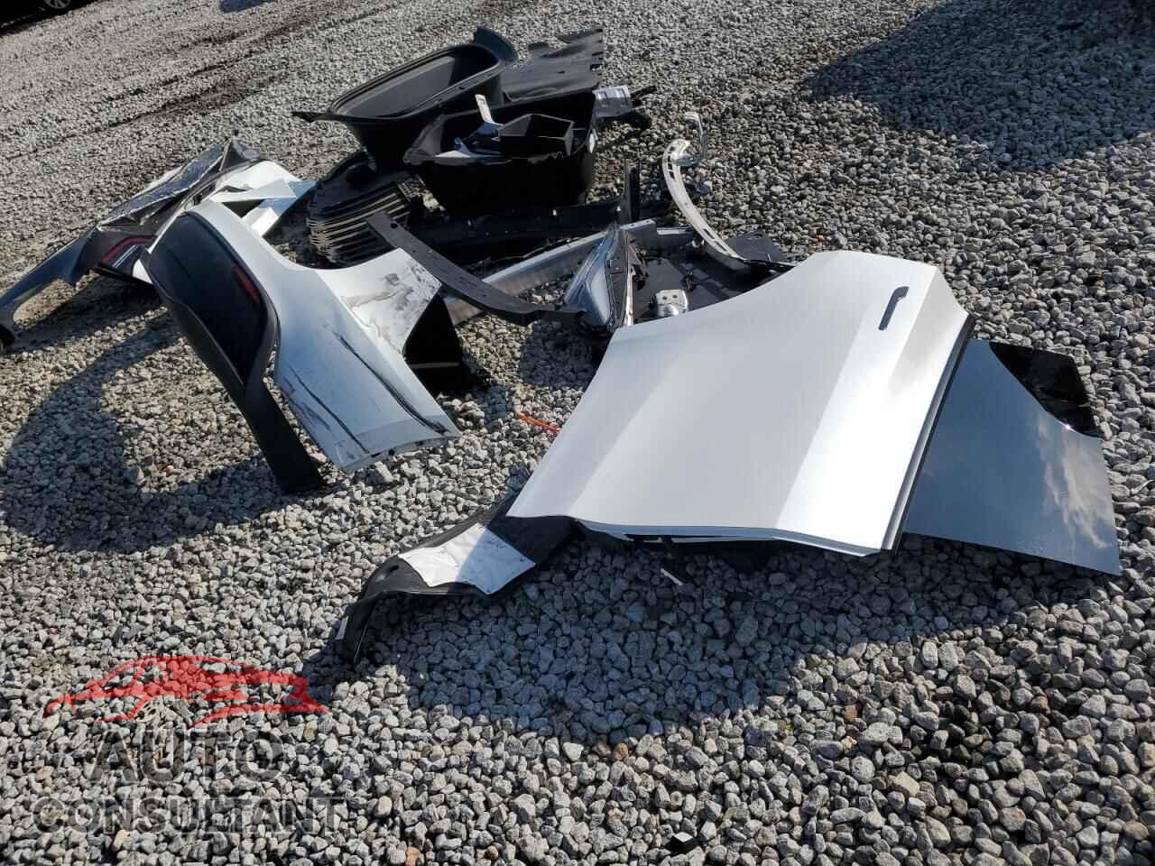 TESLA MODEL Y 2024 - 7SAYGAEEXRF005653