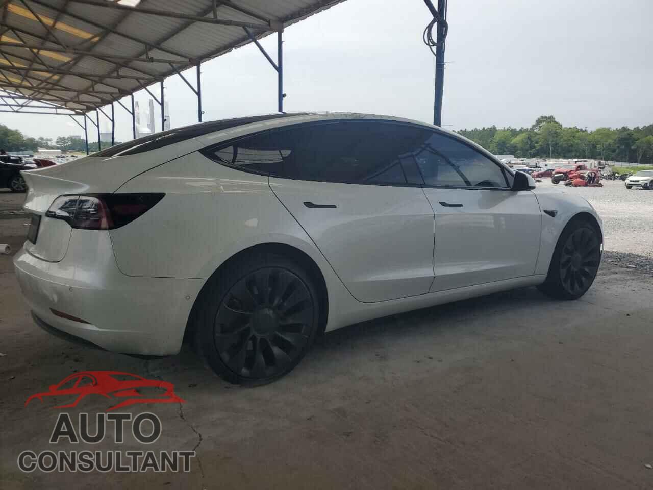 TESLA MODEL 3 2019 - 5YJ3E1EA4KF425232