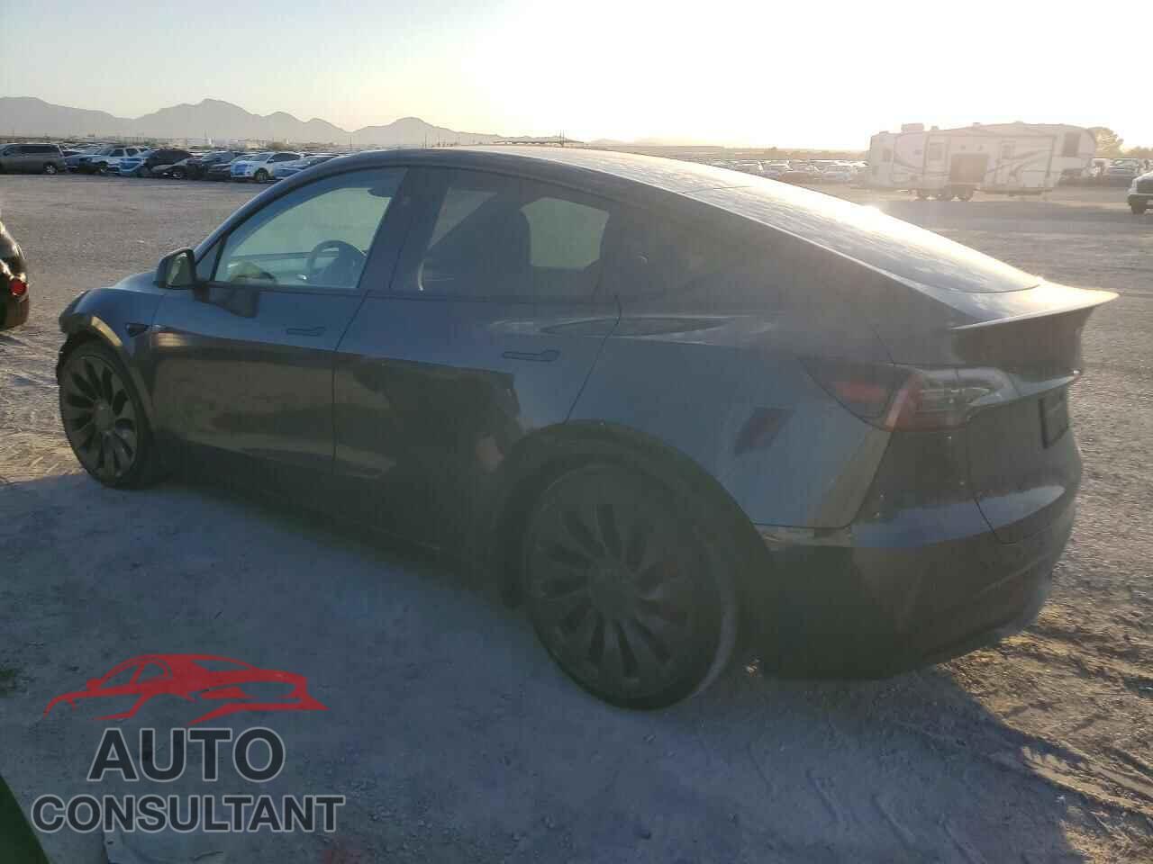 TESLA MODEL Y 2024 - 7SAYGDEF6RF177530
