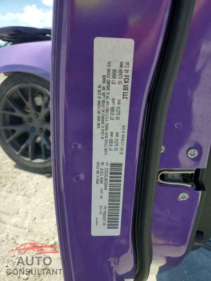 DODGE CHARGER 2019 - 2C3CDXGJ9KH520404