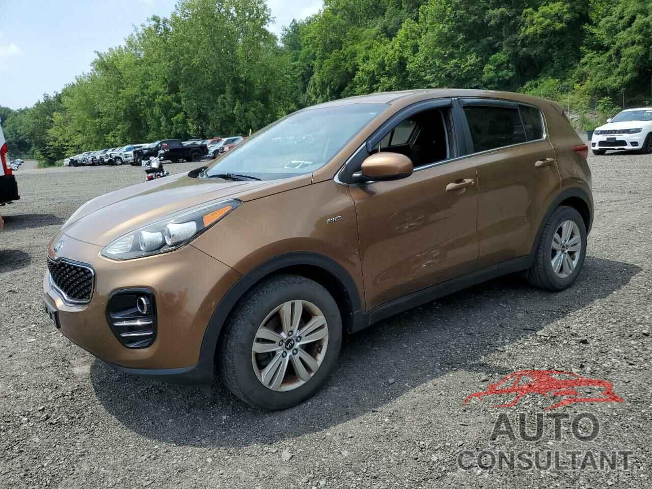 KIA SPORTAGE 2017 - KNDPMCAC9H7094346