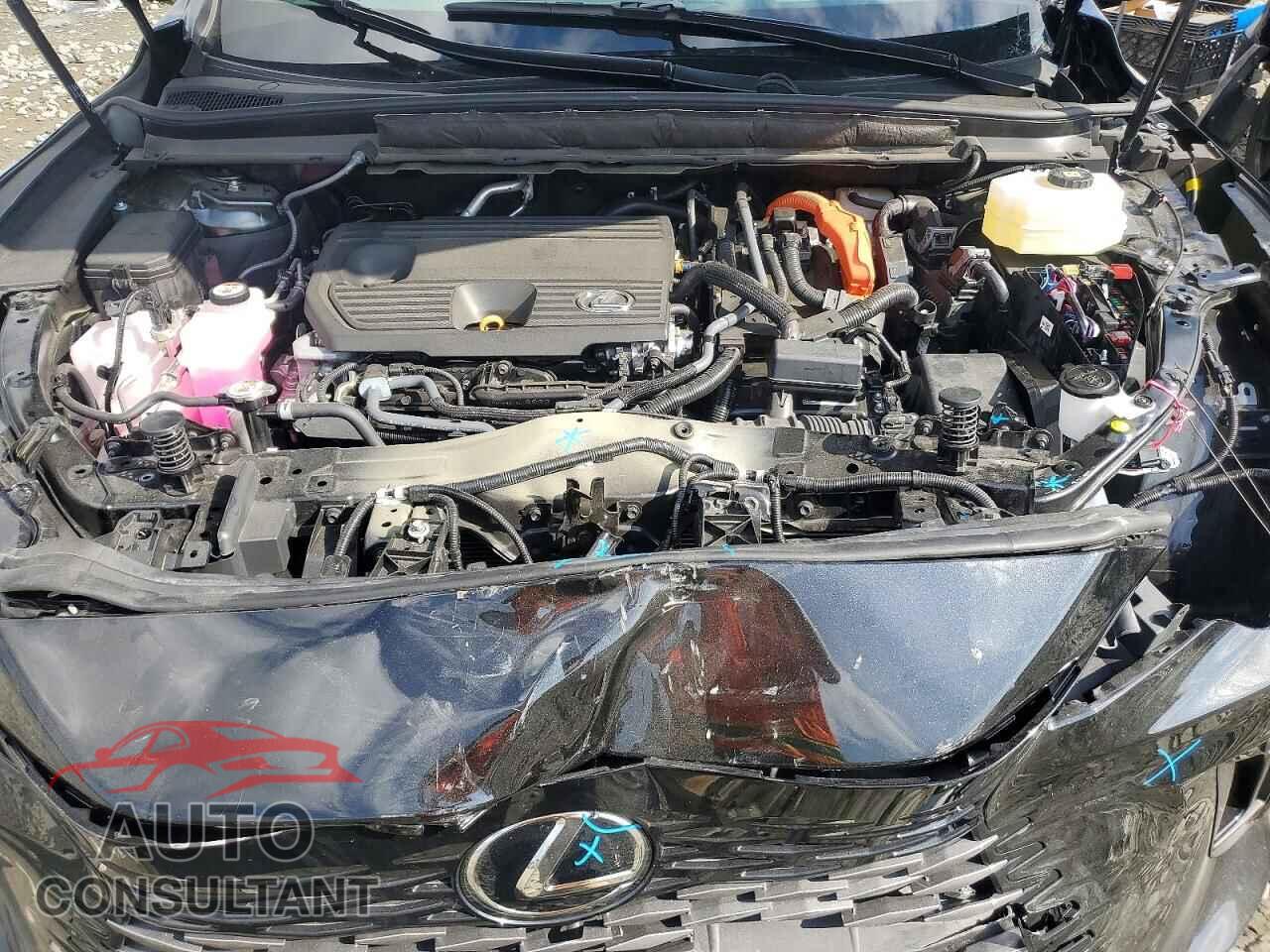 LEXUS UNKNOWN 2025 - 2T2BBMCA4SC104932