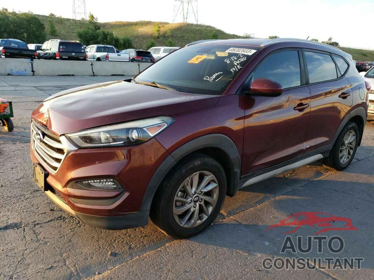 HYUNDAI TUCSON 2017 - KM8J33A44HU528316