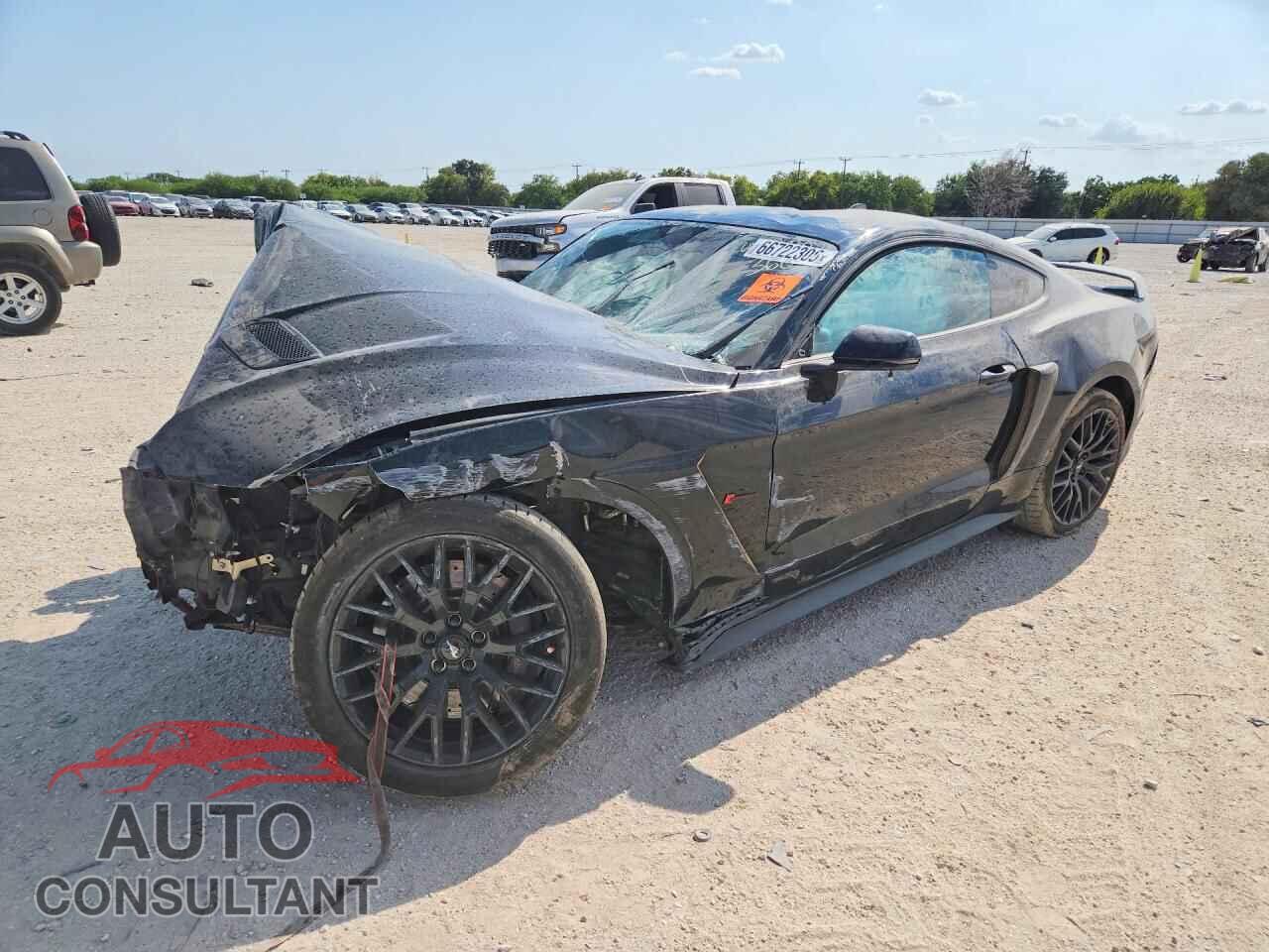 FORD MUSTANG 2019 - 1FA6P8CF8K5202262