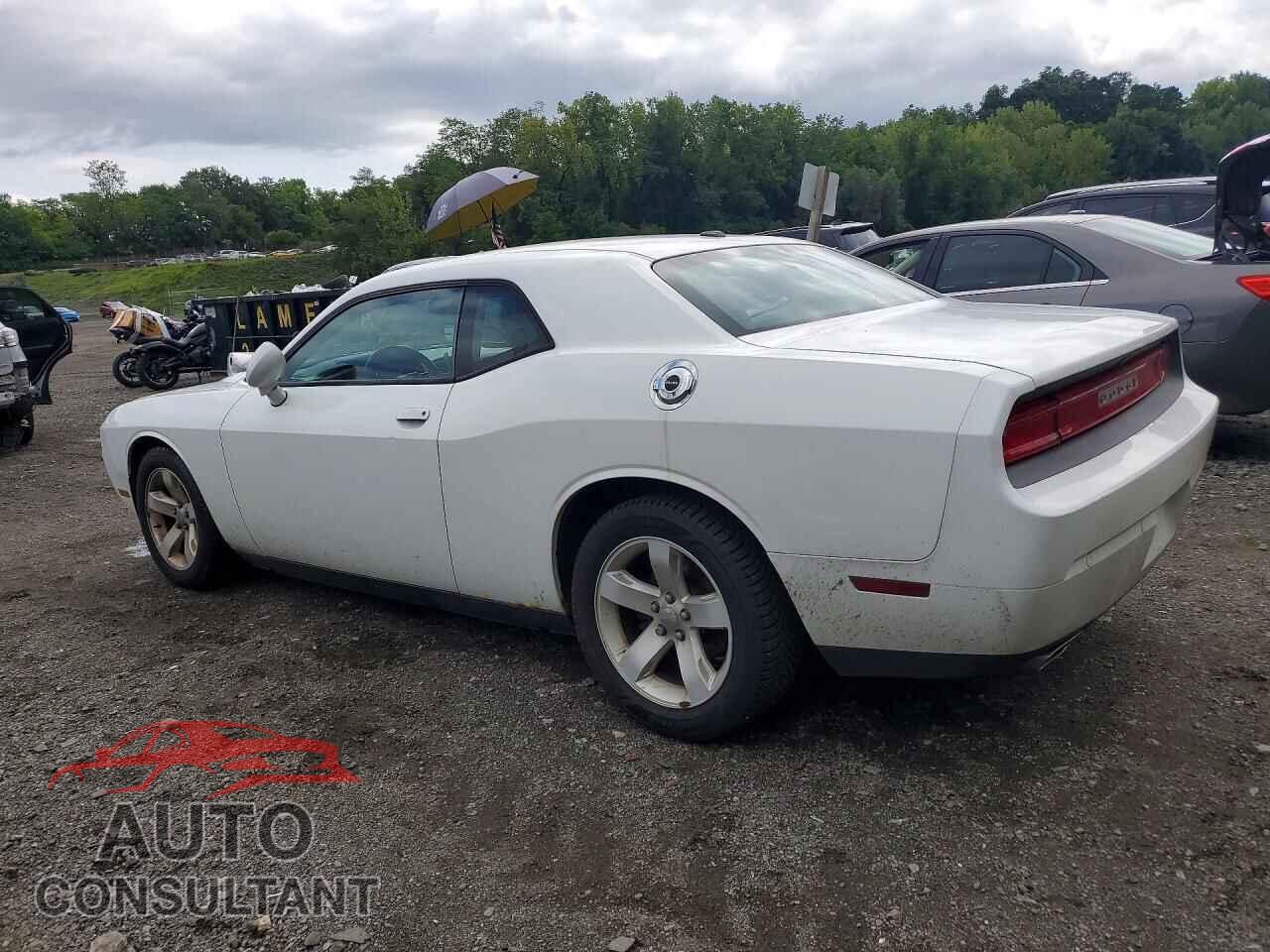 DODGE CHALLENGER 2013 - 2C3CDYAG8DH741661