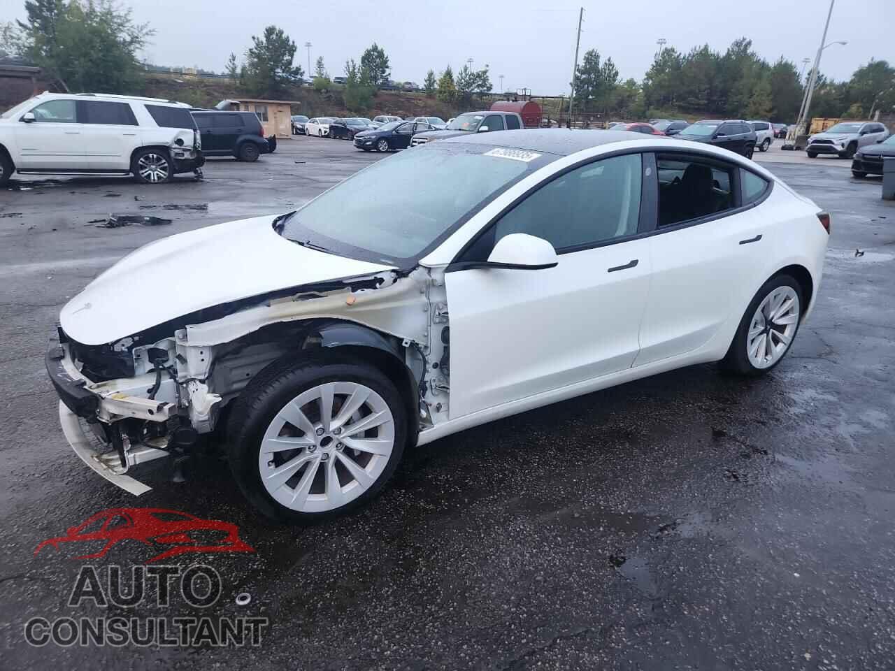 TESLA MODEL 3 2021 - 5YJ3E1EA2MF017749