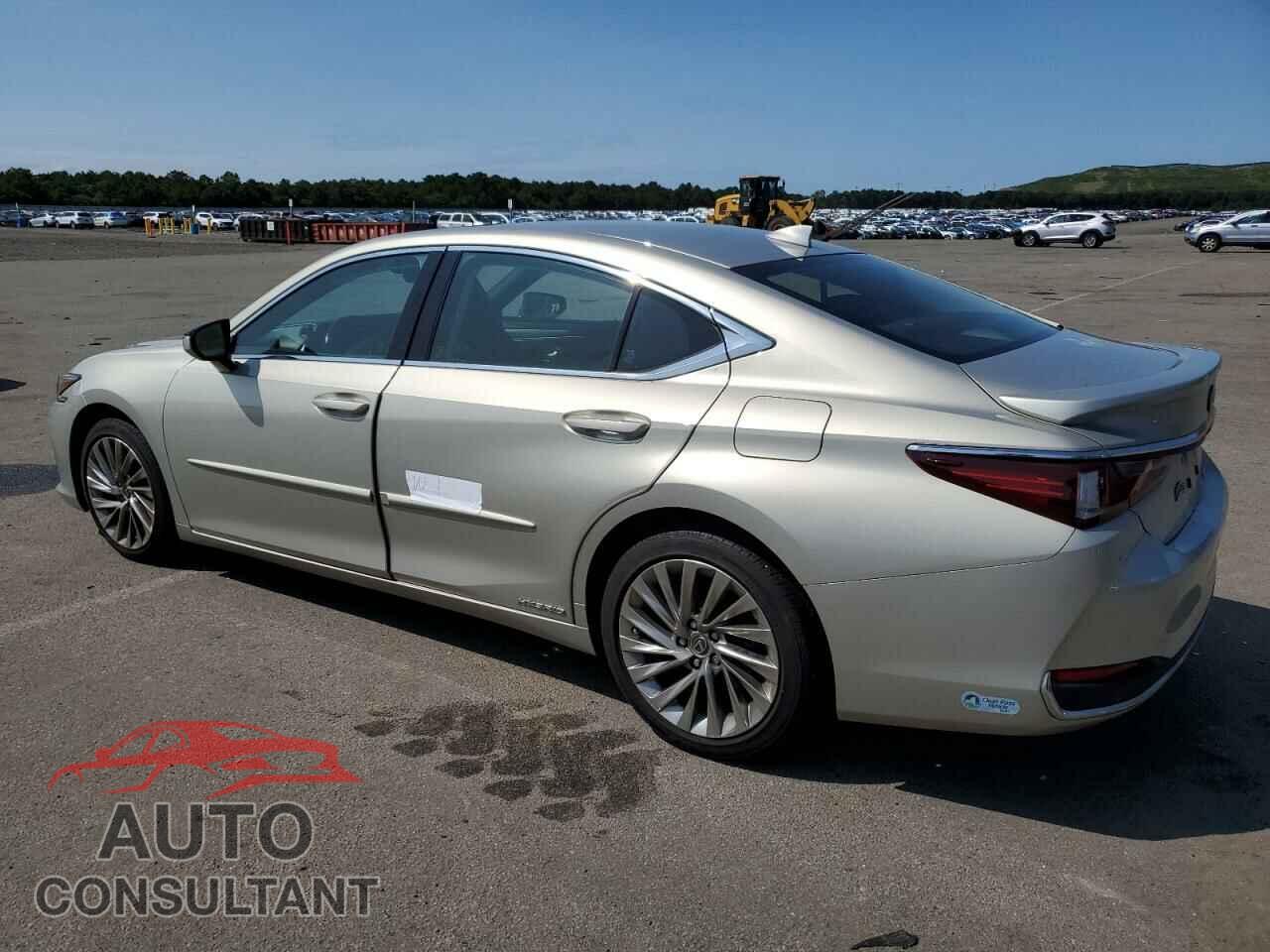 LEXUS ES300 2019 - JTHB21B17K2012151