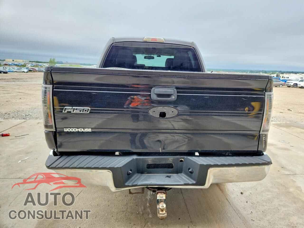 FORD F150 2010 - 1FTEW1E82AFD88551