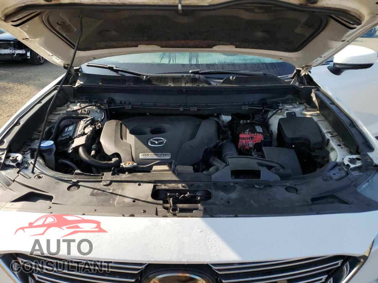 MAZDA CX-9 2019 - JM3TCBDY3K0320181