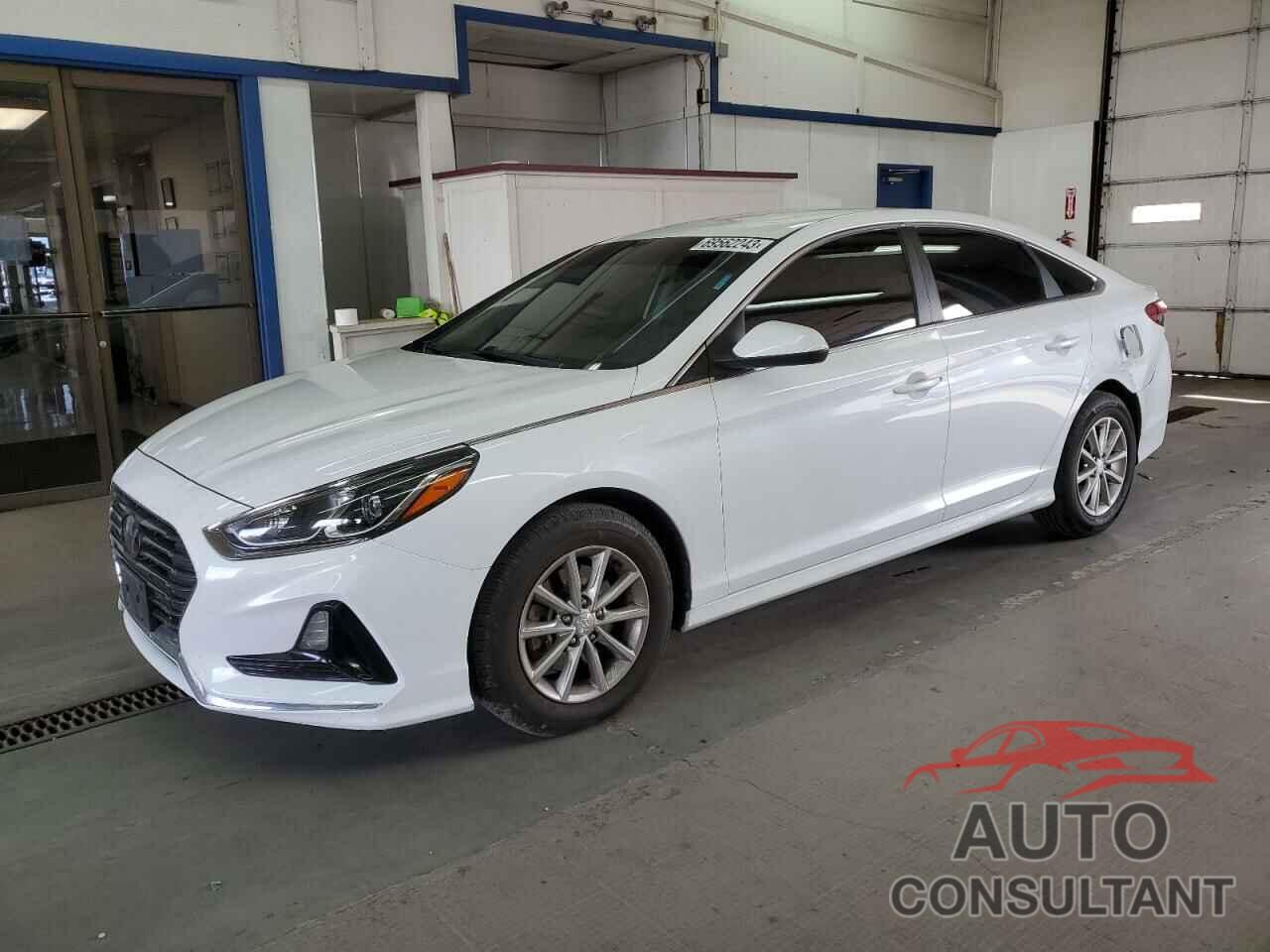 HYUNDAI SONATA 2019 - 5NPE24AF2KH766490