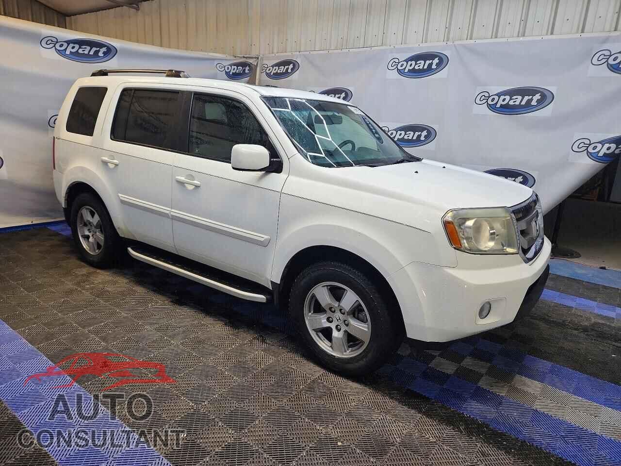 HONDA PILOT 2011 - 5FNYF3H56BB014962