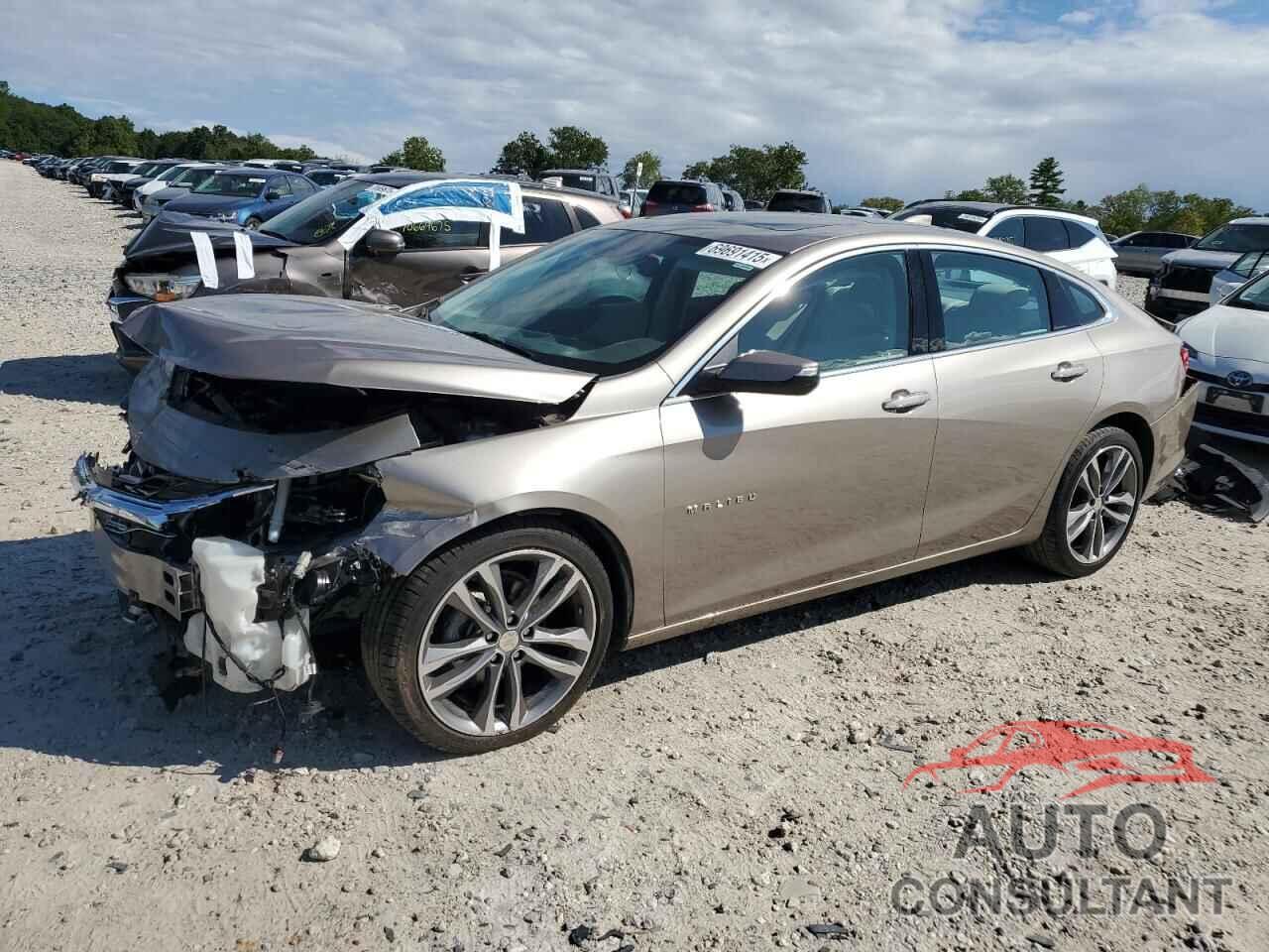 CHEVROLET MALIBU 2022 - 1G1ZE5SX9NF207547