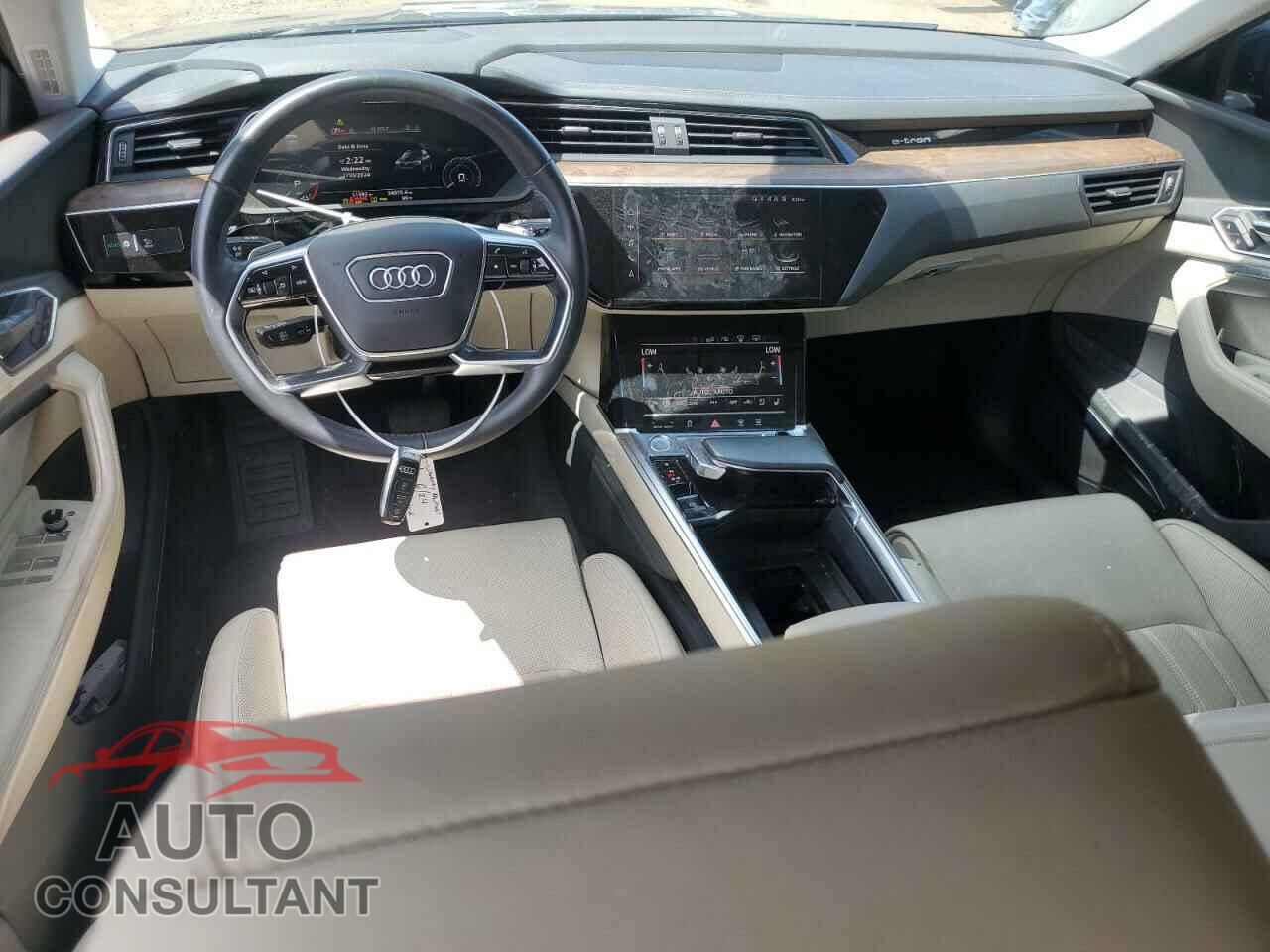 AUDI E-TRON 2019 - WA1VAAGE2KB006393