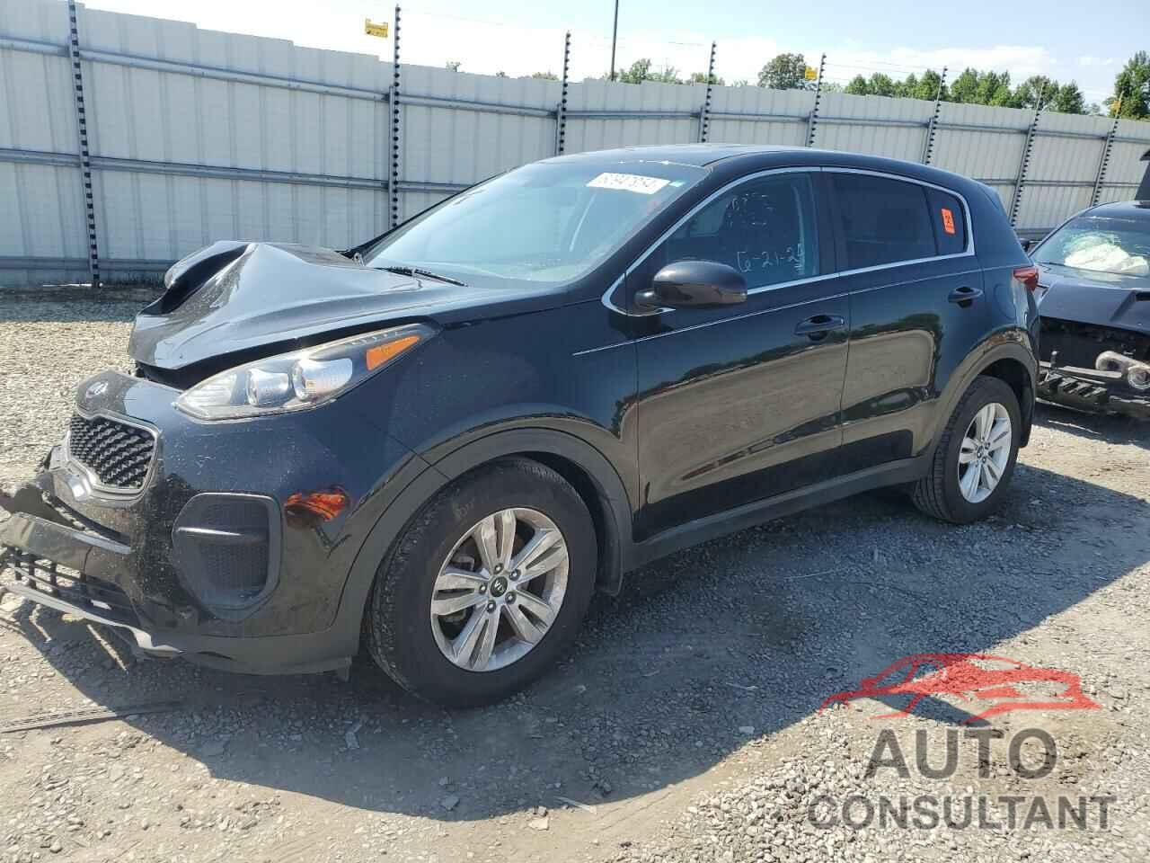 KIA SPORTAGE 2019 - KNDPM3ACXK7539751