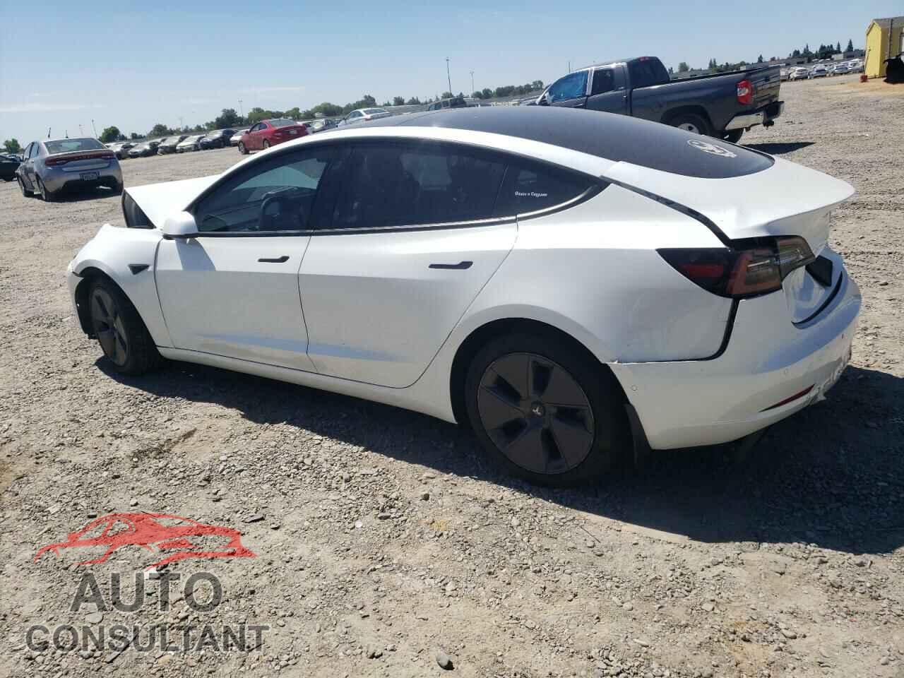 TESLA MODEL 3 2021 - 5YJ3E1EA2MF871902