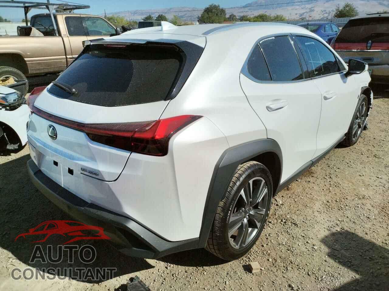 LEXUS UX 200 2019 - JTHY3JBH8K2013992
