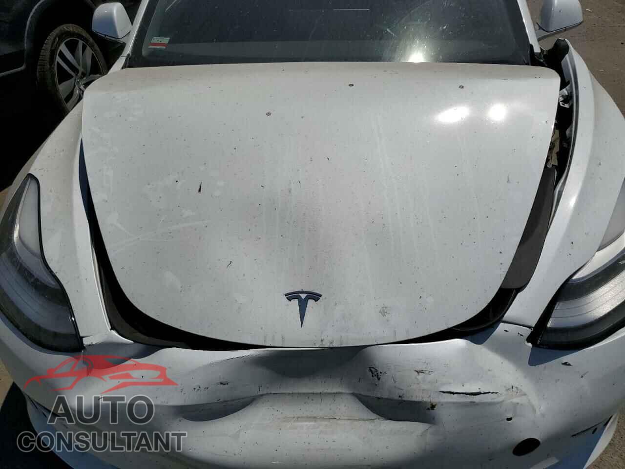 TESLA MODEL 3 2019 - 5YJ3E1EA1KF434504