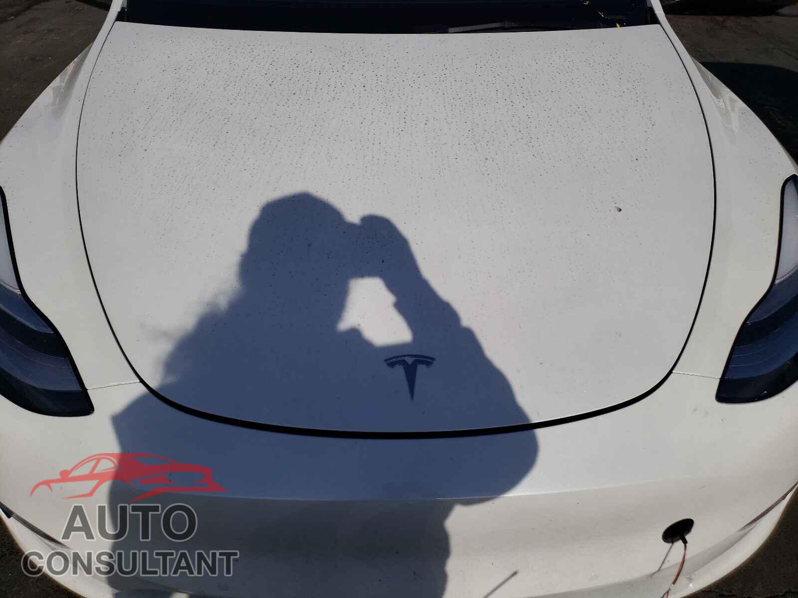 TESLA MODEL Y 2021 - 5YJYGAEE4MF136549