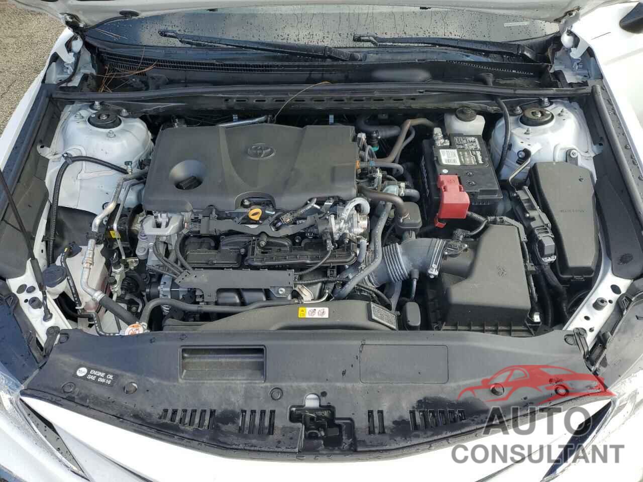 TOYOTA CAMRY 2021 - 4T1C11AK8MU597912