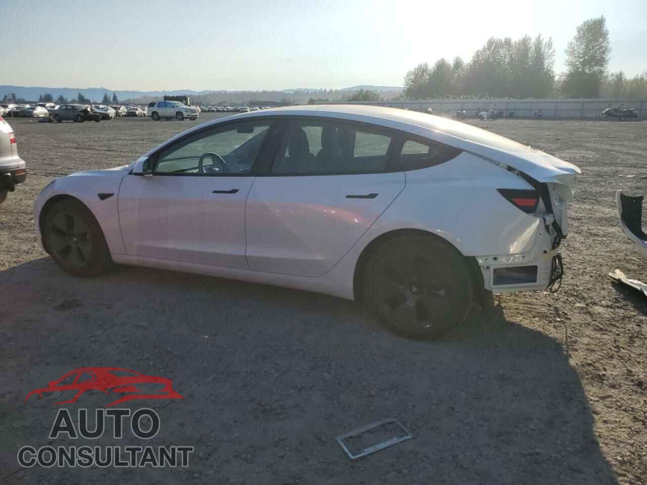 TESLA MODEL 3 2022 - 5YJ3E1EB6NF156891
