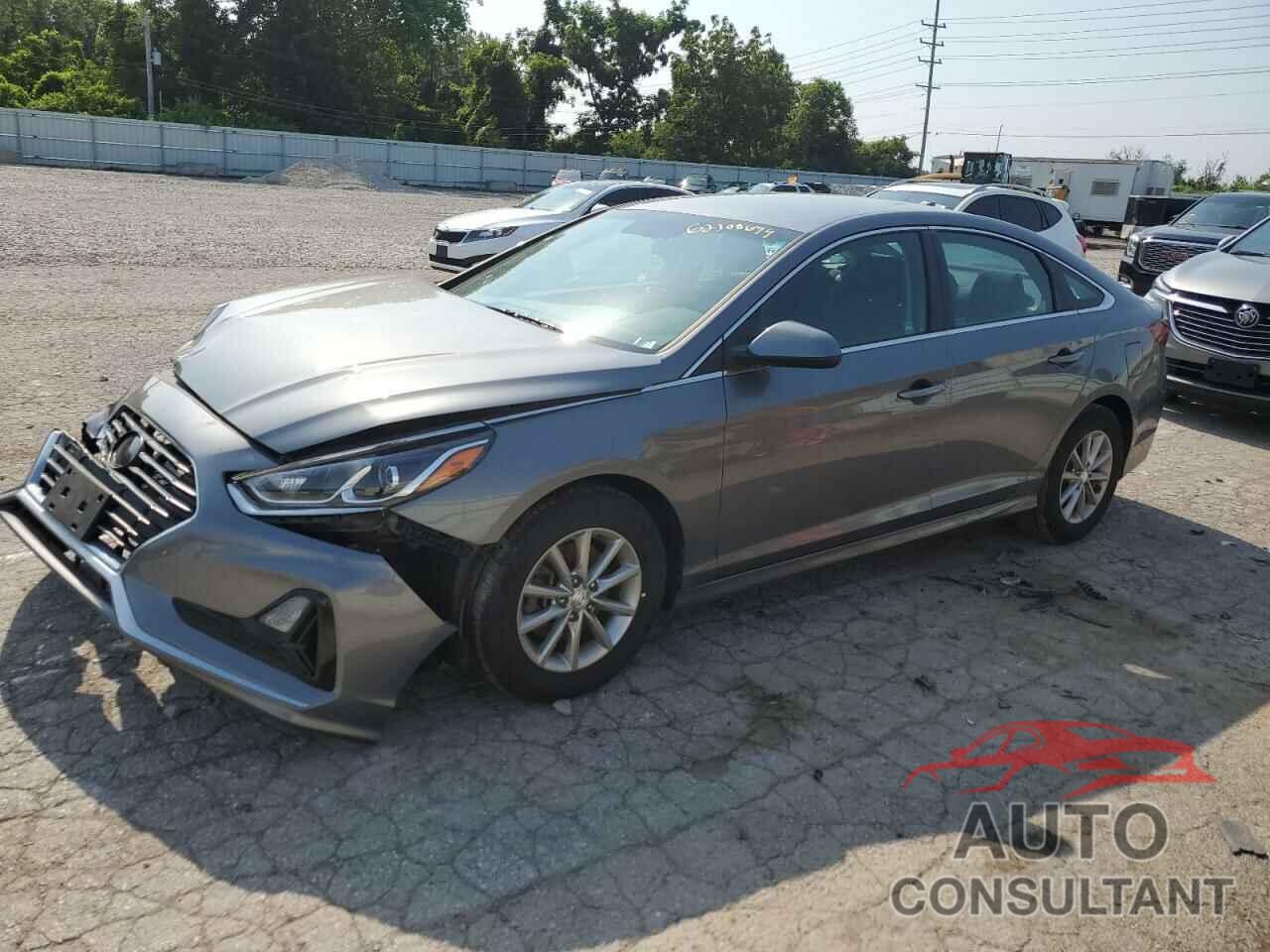 HYUNDAI SONATA 2019 - 5NPE24AF6KH740894