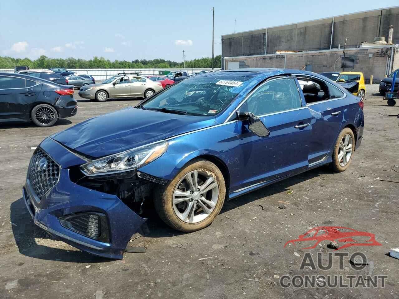 HYUNDAI SONATA 2019 - 5NPE34AF9KH733502