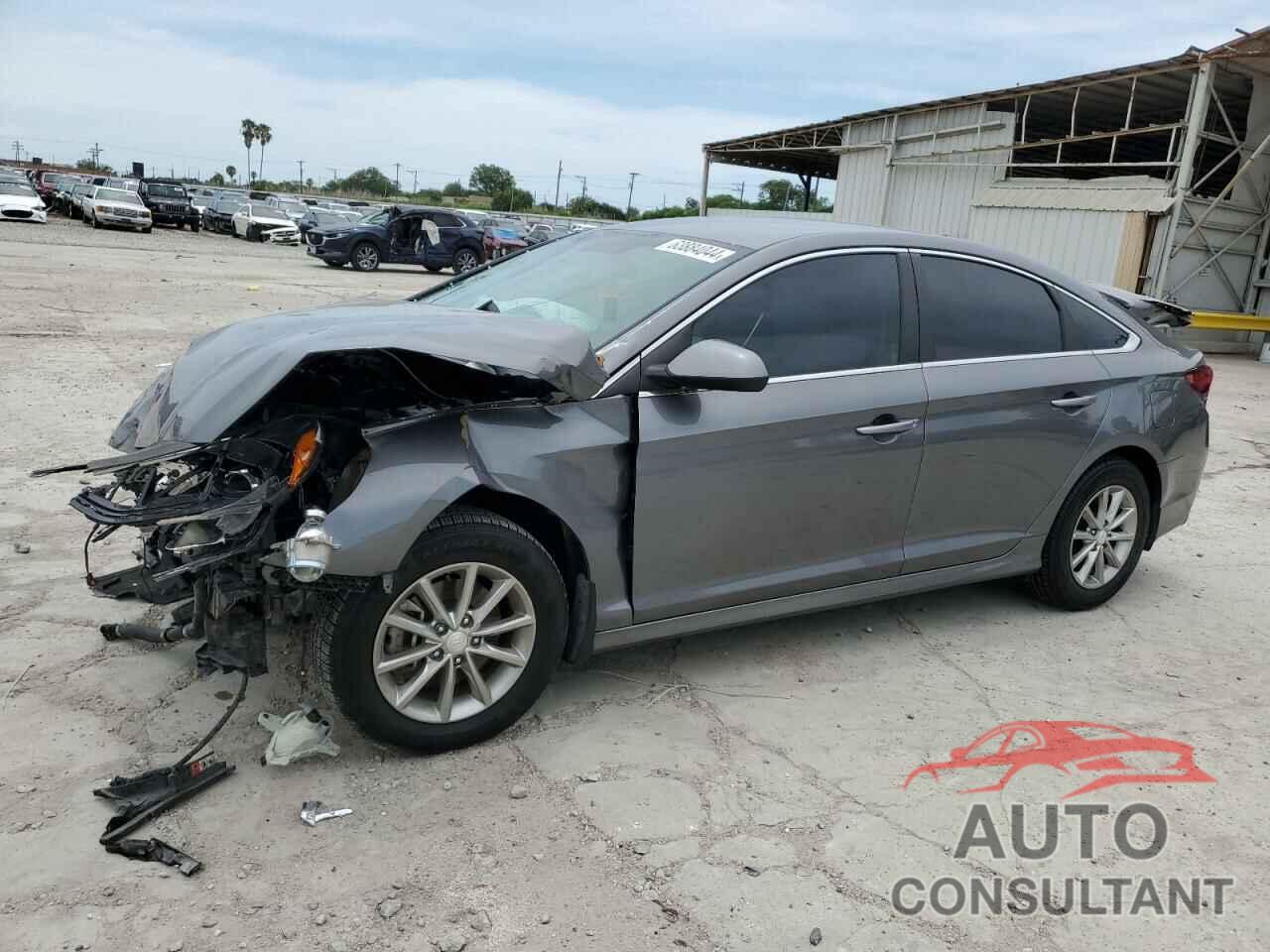 HYUNDAI SONATA 2019 - 5NPE24AF7KH798738