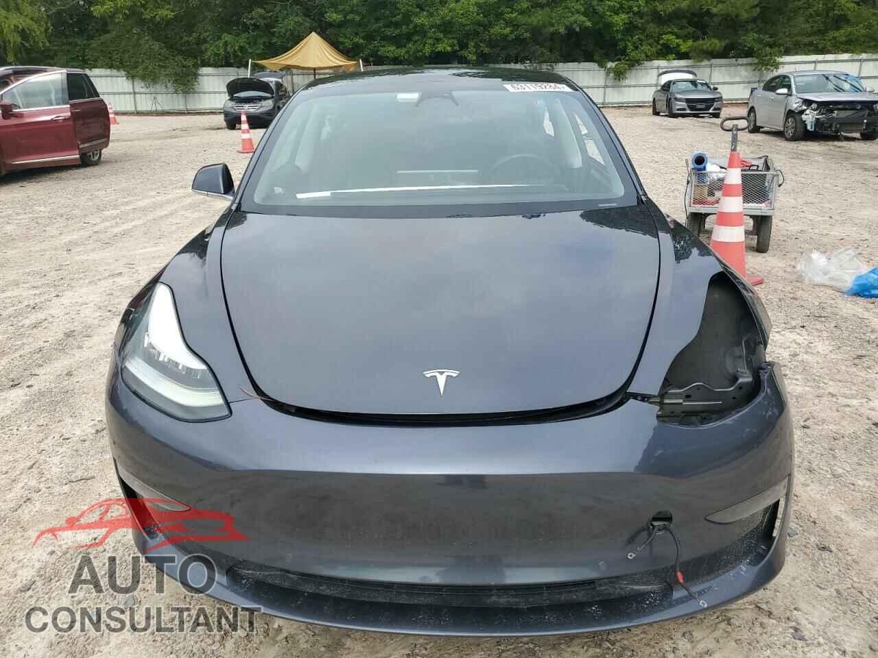 TESLA MODEL 3 2019 - 5YJ3E1EB8KF237595