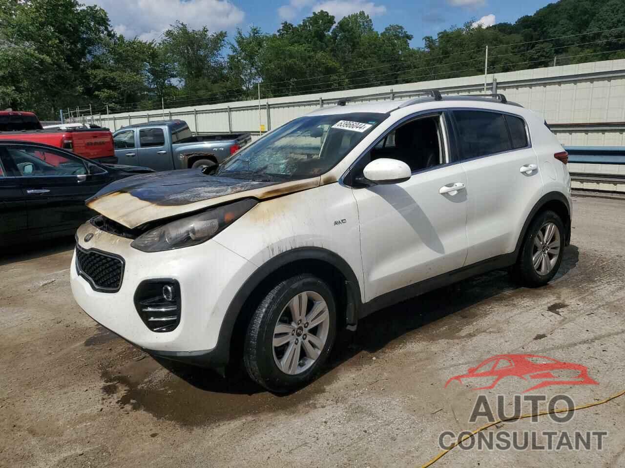 KIA SPORTAGE 2019 - KNDPMCACXK7578825