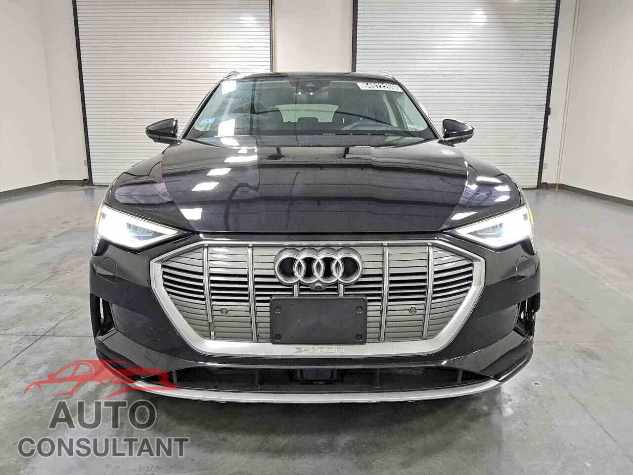 AUDI E-TRON 2019 - WA1VABGEXKB017048