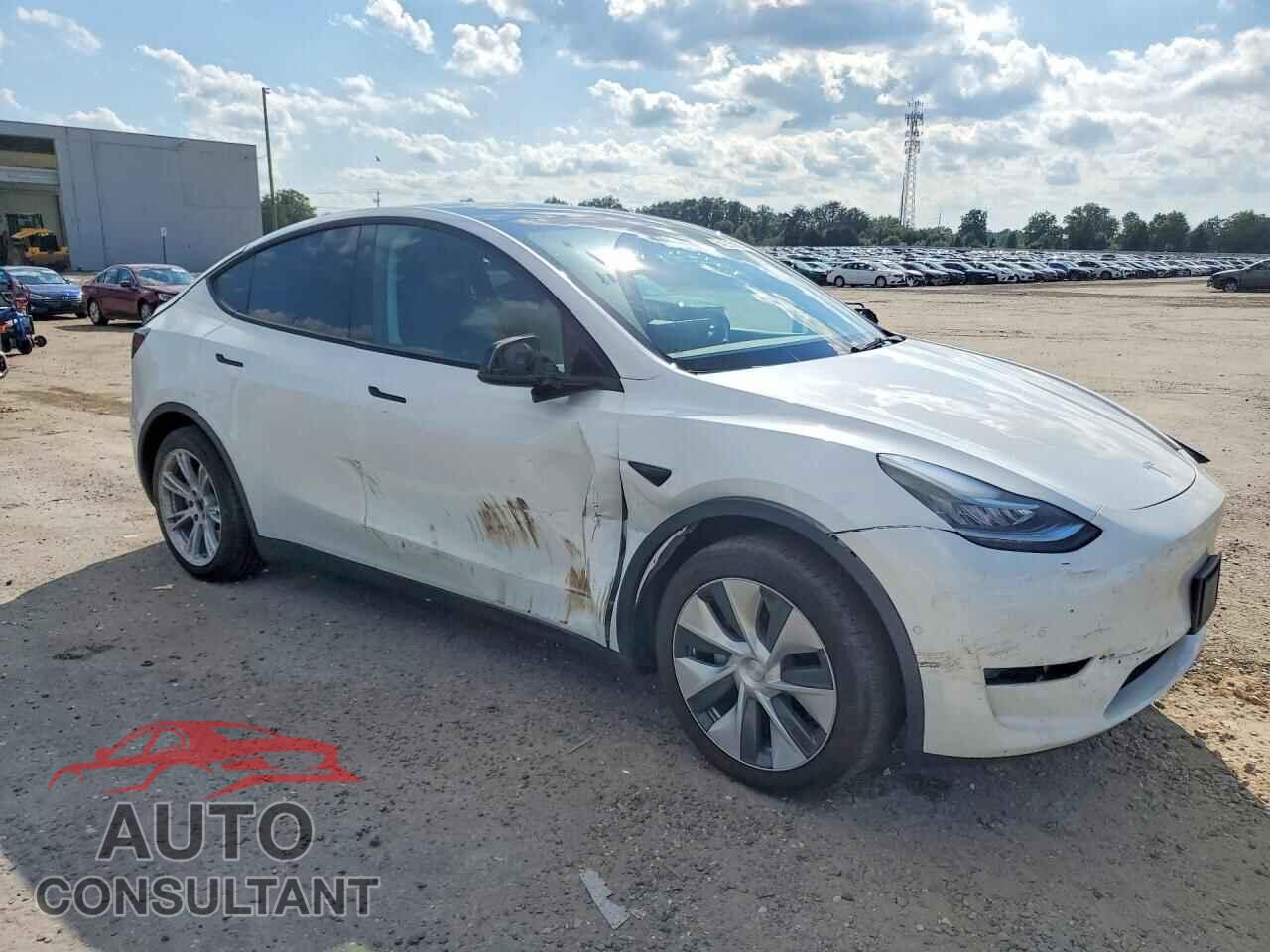TESLA MODEL Y 2021 - 5YJYGDEEXMF254669