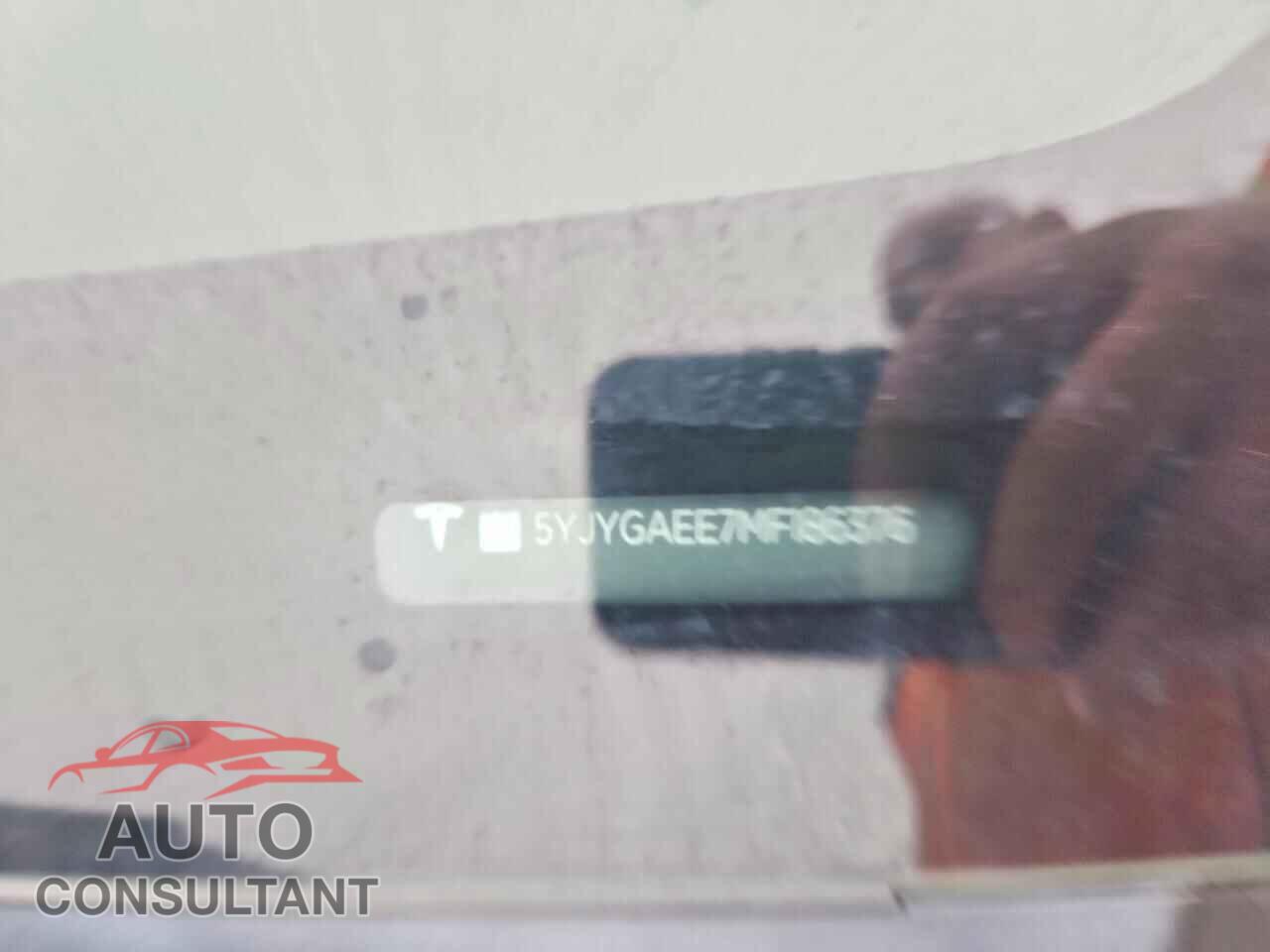 TESLA MODEL Y 2021 - 5YJYGAEE7MF186376