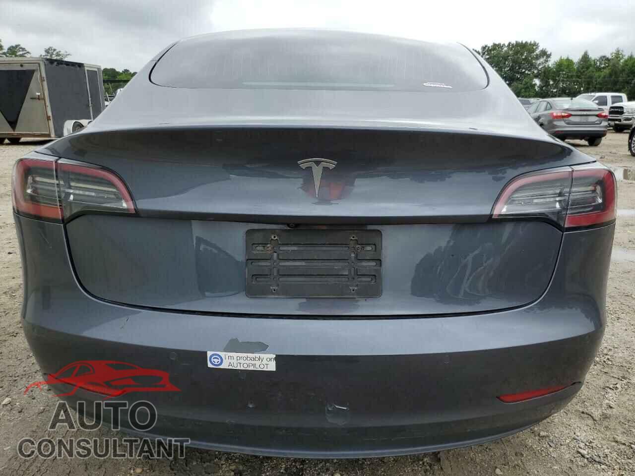 TESLA MODEL 3 2020 - 5YJ3E1EA9LF764120