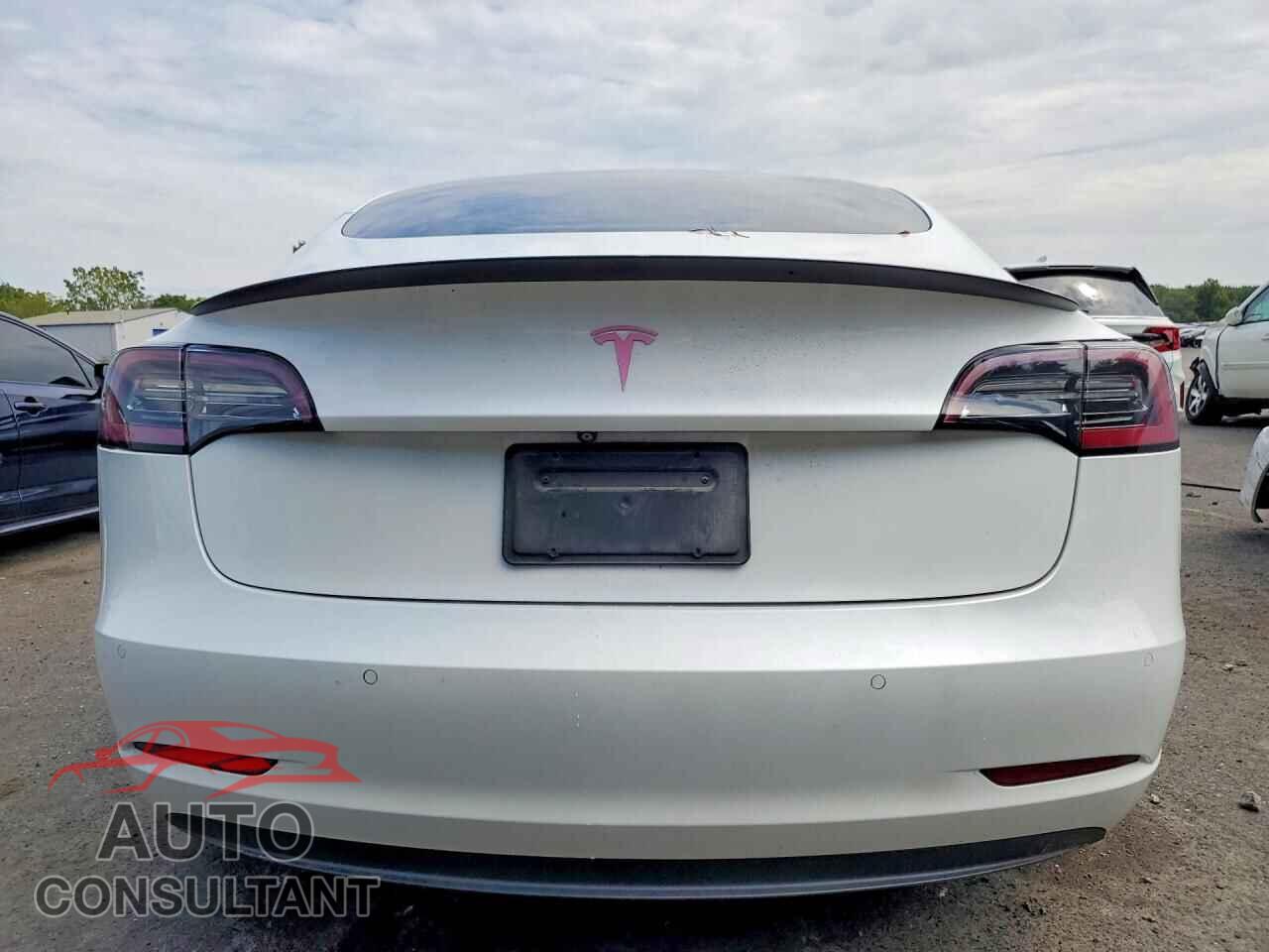TESLA MODEL 3 2019 - 5YJ3E1EA6KF302080