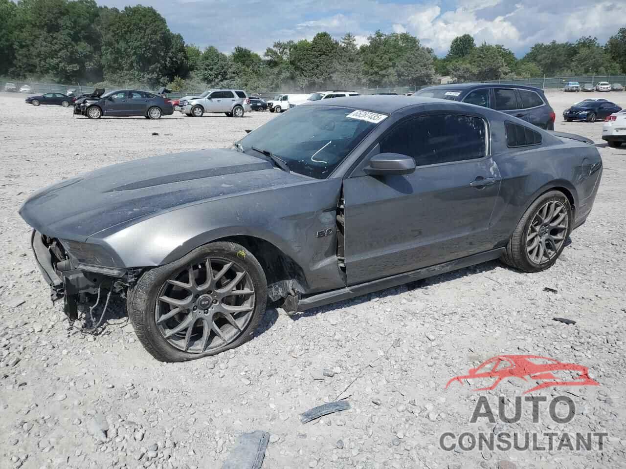 FORD MUSTANG 2011 - 1ZVBP8CF4B5126268