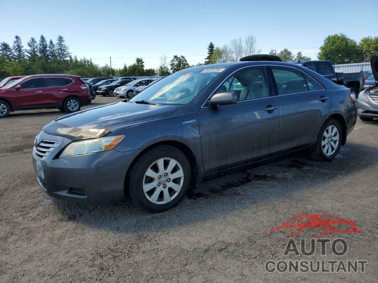 TOYOTA CAMRY 2009 - 4T1BB46K29U065968