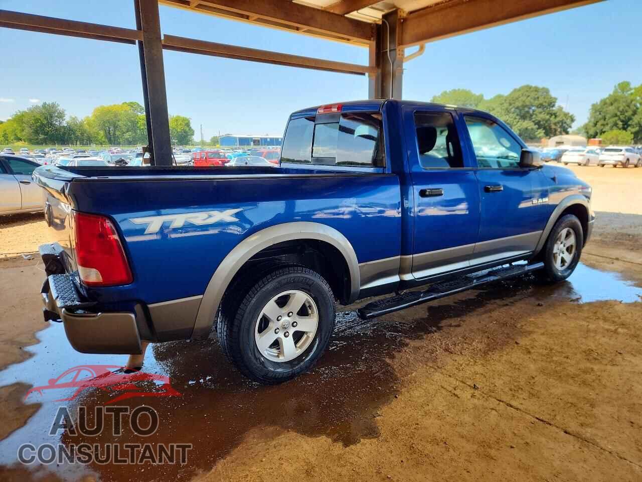 DODGE RAM 1500 2010 - 1D7RB1GP5AS204170