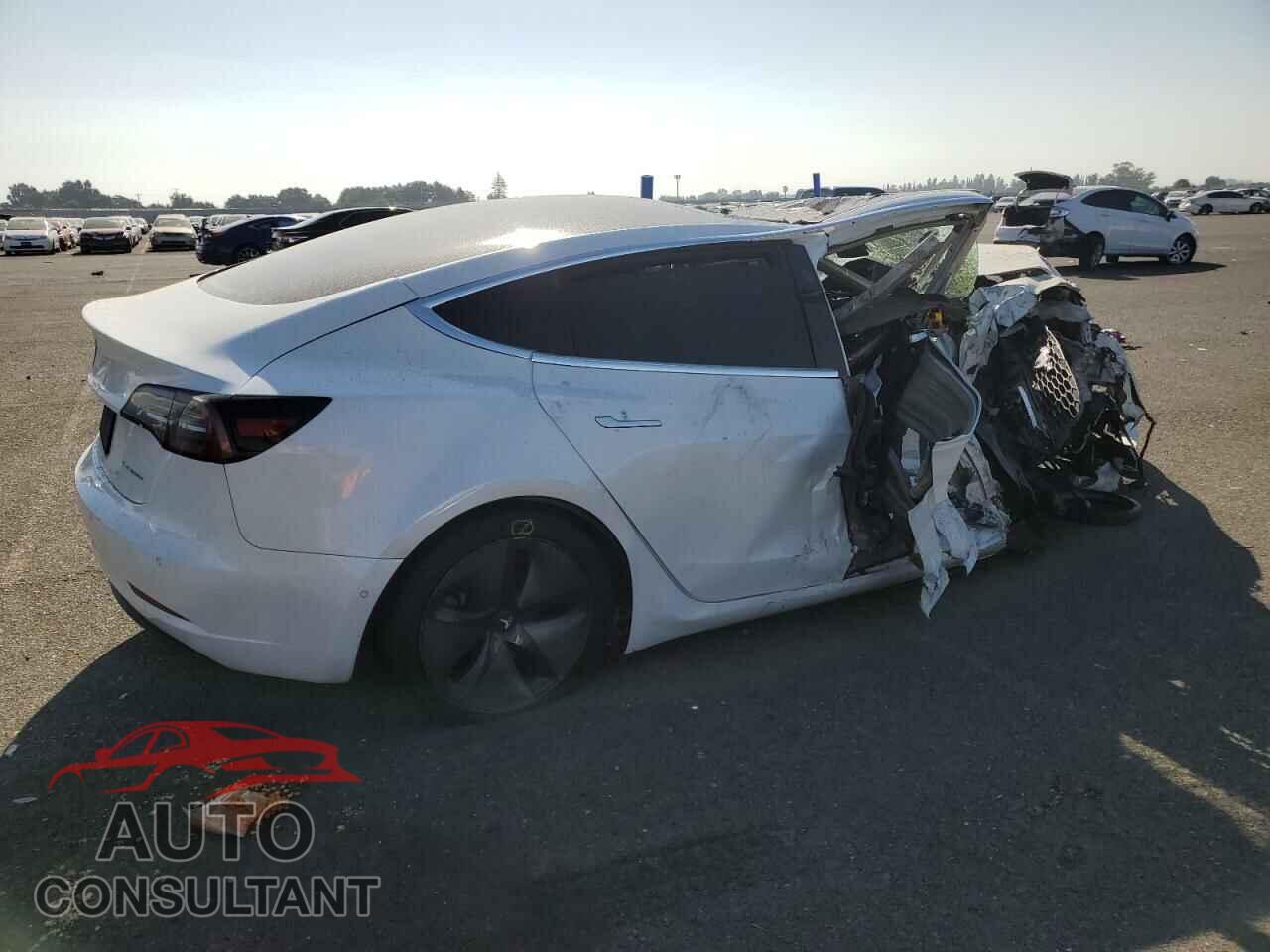 TESLA MODEL 3 2019 - 5YJ3E1EB2KF408356